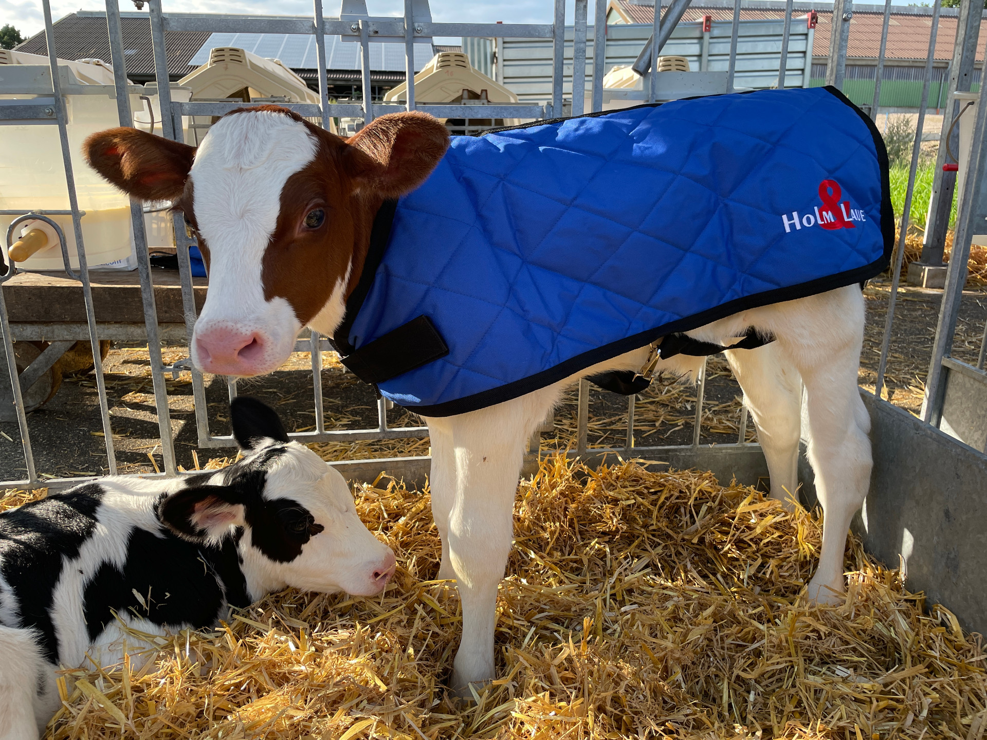 H&L Calf Jacket